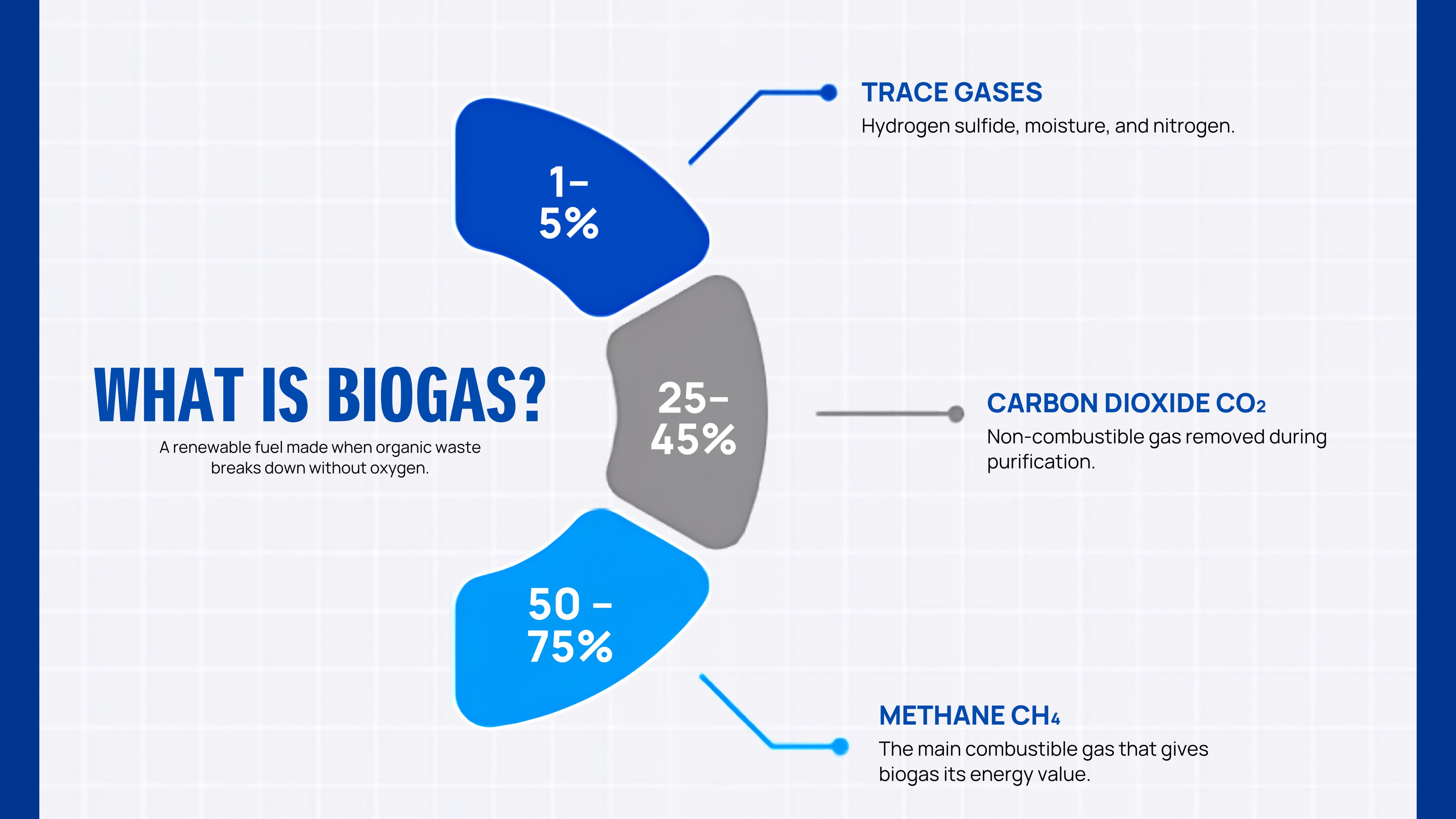 what is biogas